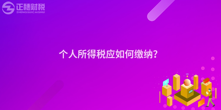 个人所得税应如何缴纳？